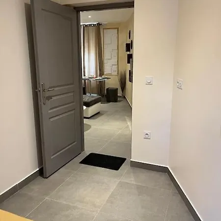 Magnifique T1 Entierement Renove Appartement