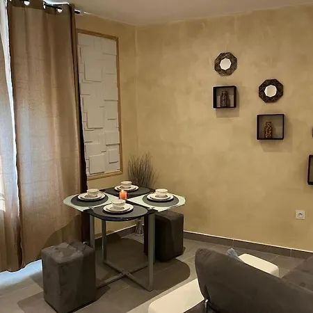 Magnifique T1 Entierement Renove Appartement *